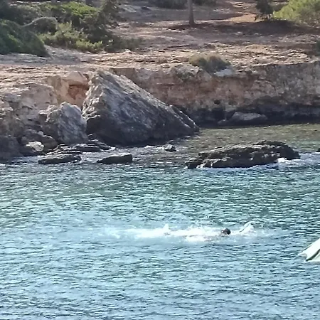 Salento Mare E Arte Appartamento